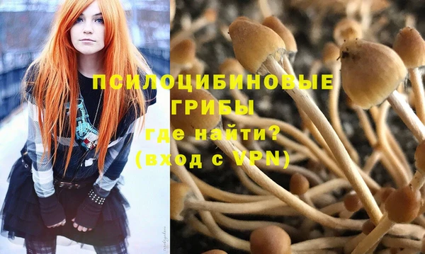 мдпв Медногорск