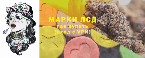 хмурый Лагань