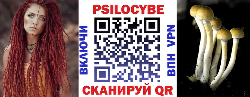 Галлюциногенные грибы GOLDEN TEACHER  купить  цена  ссылка на мегу рабочий сайт  Миллерово 